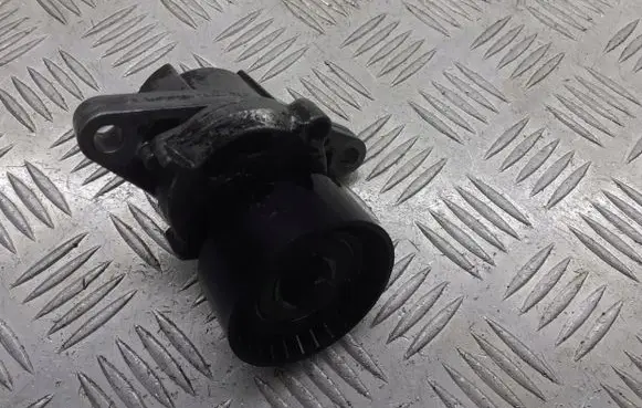 Renault Scenic I Alternator belt tensioner pulley 7700102872