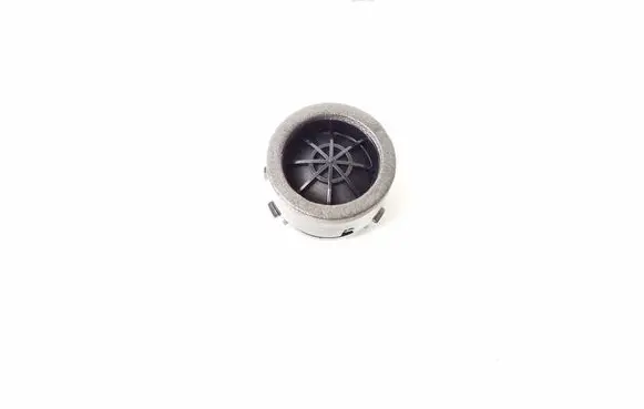 Front door speaker