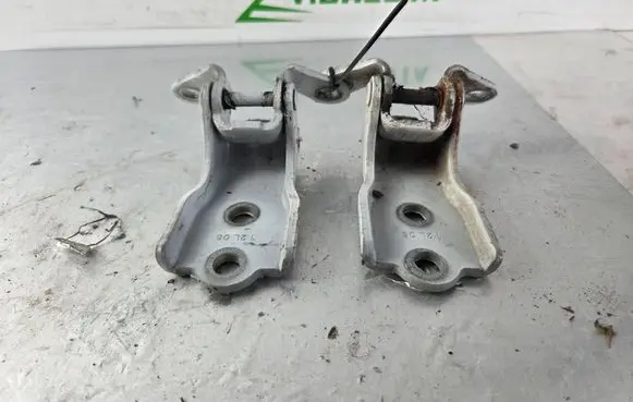Opel Antara Front door hinge set 12L16