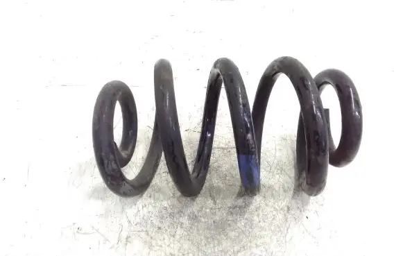 Nissan Interstar Front coil spring