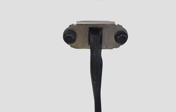 Nissan Leaf II (ZE1) Rear door check strap stopper