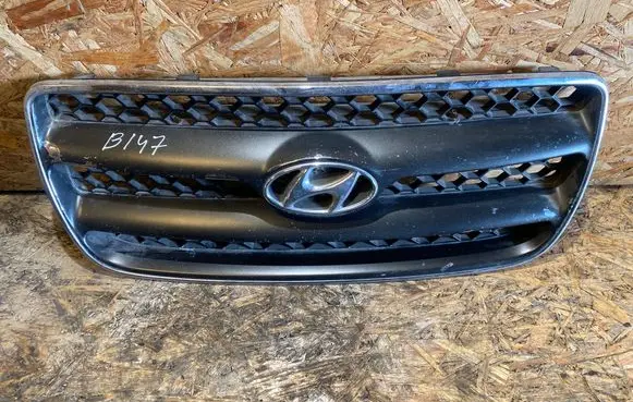 Hyundai Santa Fe Front grill 865612B010