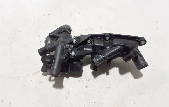 Thermostat/thermostat housing
