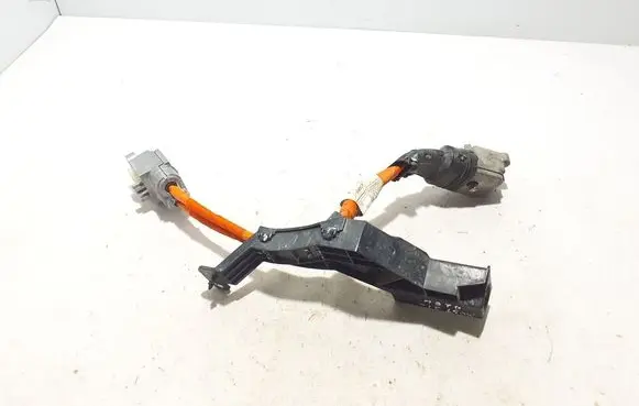 Other wiring loom