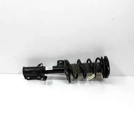 Ford Escape III Front shock absorber/damper LX6118K001NAD