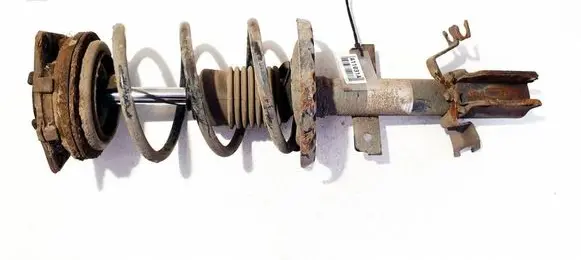 Renault Clio III Front shock absorber/damper 