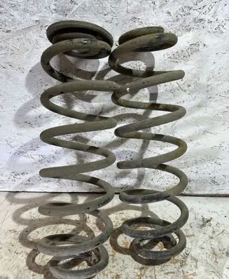 Volkswagen PASSAT B6 Rear coil spring