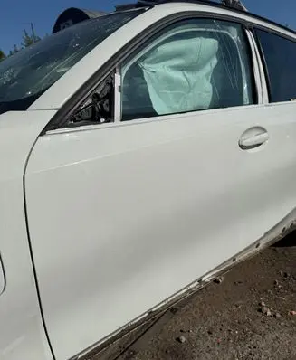 BMW 3 G20 G21 Front door 7432231