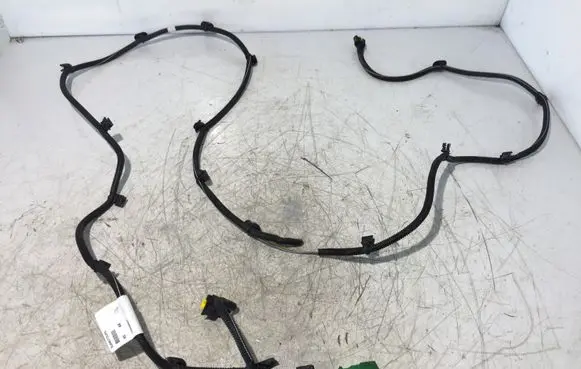 Peugeot Expert Other wiring loom 1762039X01 610490