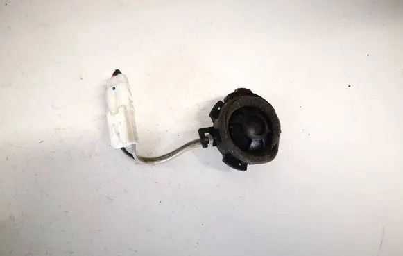Front door speaker