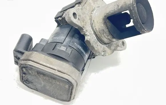 EGR valve