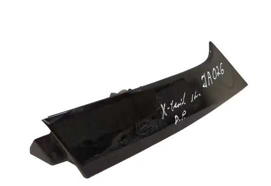 Rear/tail light trim molding