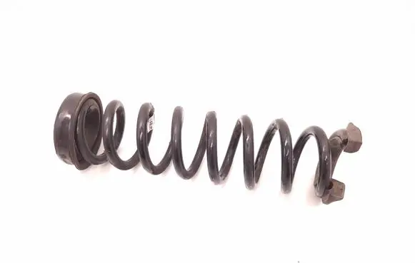 Rear coil spring