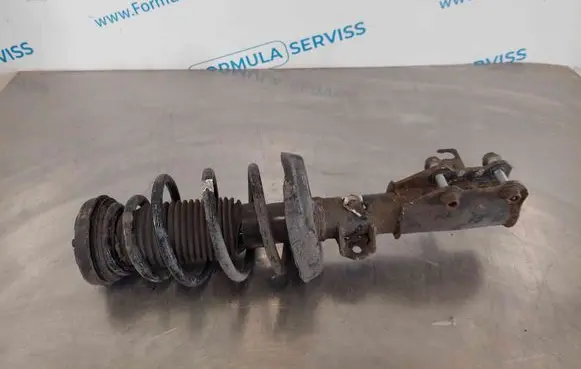 Opel Insignia A Front shock absorber with coil spring E4612001