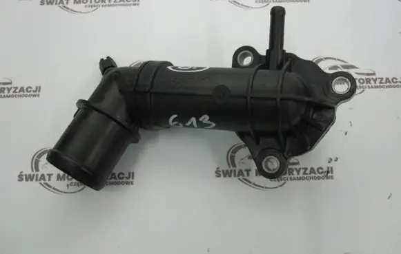 Thermostat/thermostat housing