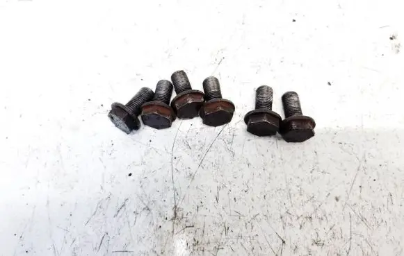 Nuts/bolts