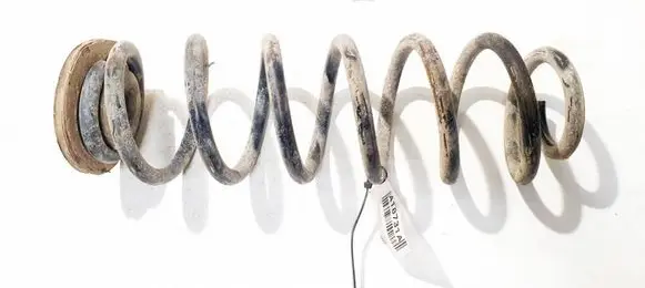 Rear coil spring