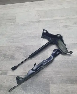 Front bonnet/hood damper/strut