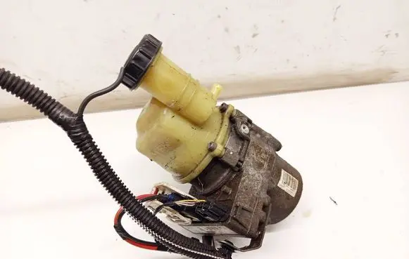 Dacia Sandero Power steering pump 491108089R