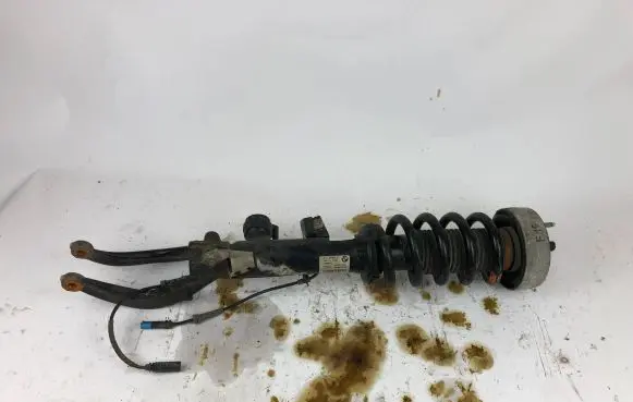 BMW X5 F15 Front shock absorber with coil spring 6875083 10541310 F15V110H
