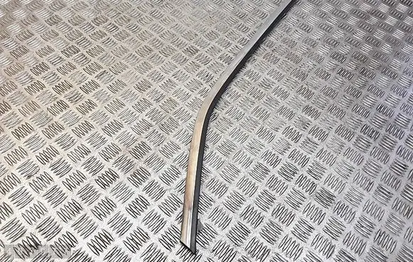 Rear door trim (molding)