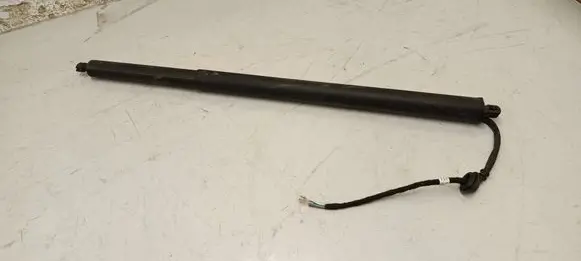 Tailgate strut