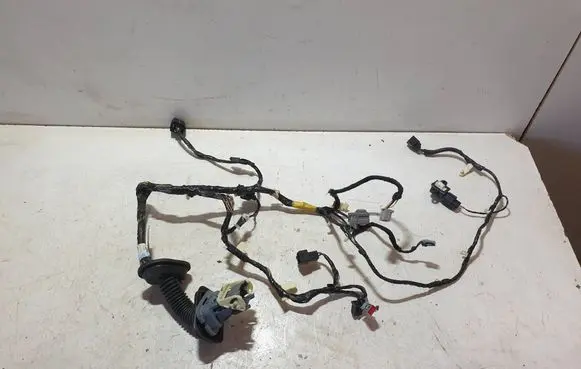 Ford Mustang V Front door wiring loom DR3T14631 14631B