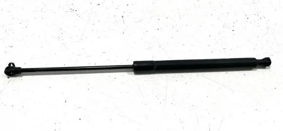 Tailgate/trunk strut/damper