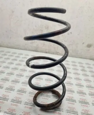 Volkswagen Fox Front coil spring