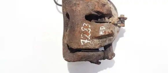Citroen C8 Front brake caliper
