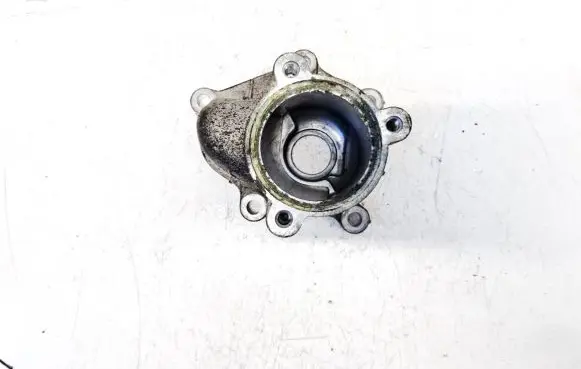 Nissan Almera Tino Engine coolant pipe/hose