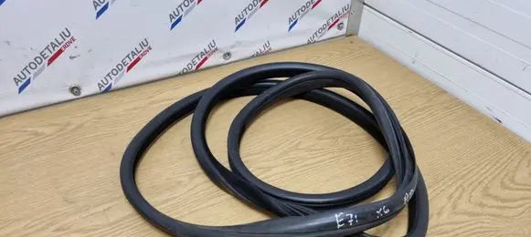 BMW X6 E71 Front door rubber seal 7195441
