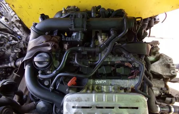 Volkswagen Golf VI Engine CAV 29SP24