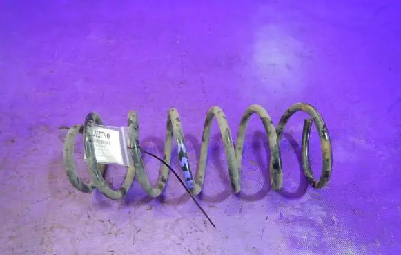 Chevrolet Kalos Rear coil spring