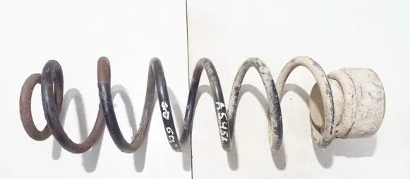 Volkswagen Golf IV Rear coil spring