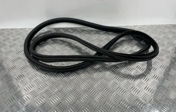 BMW X5 F15 Front door rubber seal 7289608