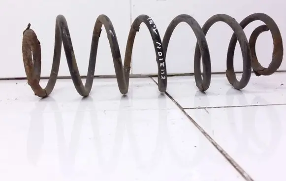 Ford Fusion Rear coil spring