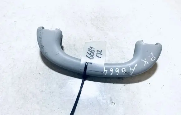 Ford Focus Front interior roof grab handle