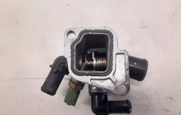 Thermostat/thermostat housing