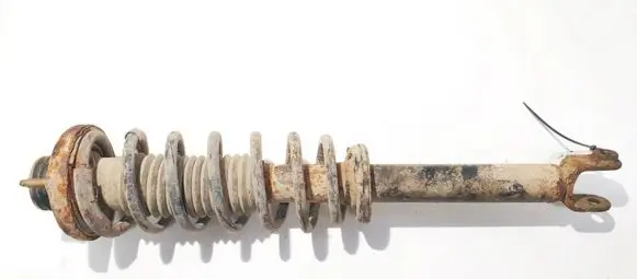 Rear shock absorber/damper