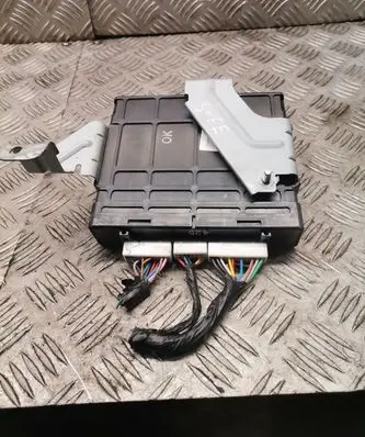 Hyundai Santa Fe Gearbox control unit/module 954403a391