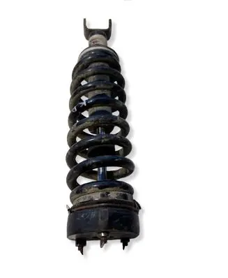 Dodge RAM 1500 DS Front shock absorber/damper 