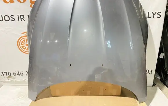 Engine bonnet/hood