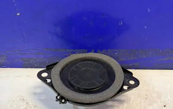 Lexus RX 450H Panel speaker 861600WV80 8924004601A