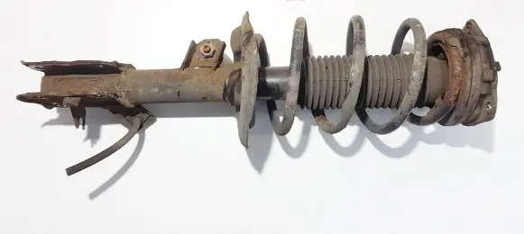 Nissan Qashqai Front shock absorber/damper 54302jd01a 834903002933