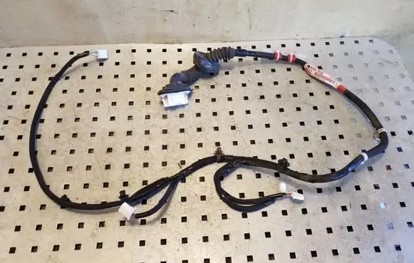 Rear door wiring loom