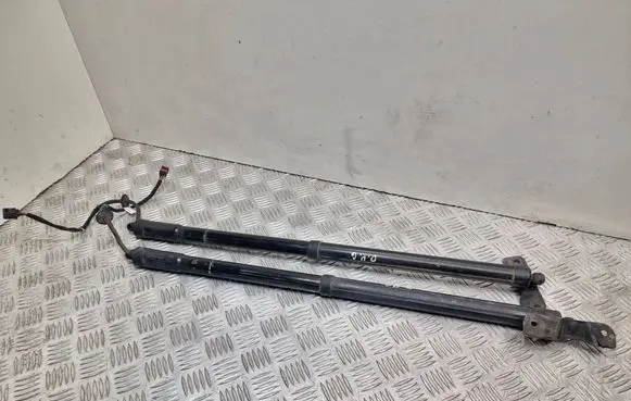 Tailgate/trunk strut/damper