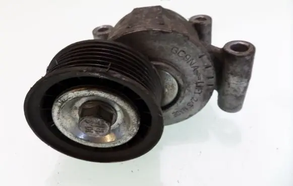 Volvo V50 Generator/alternator belt tensioner T38318