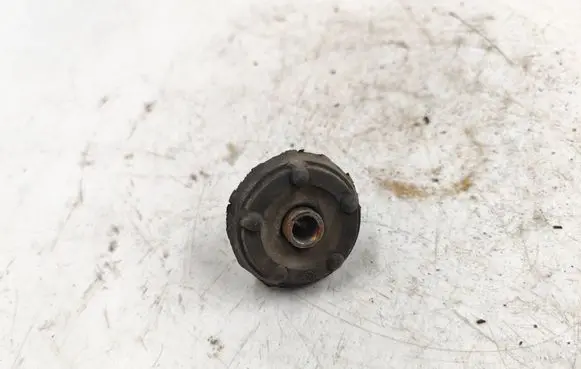 Coil spring mount