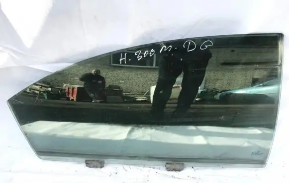 Rear door window glass